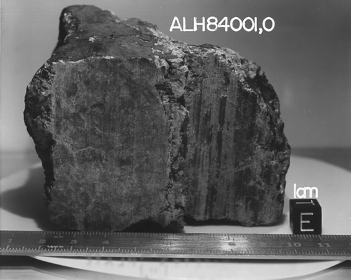 Der Mars-Meteorit ALH84001