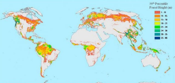 Globale Waldverteilung