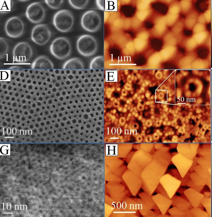 Verschiedene Mikroskopbilder von ring- oder wabenartigen Strukturen.