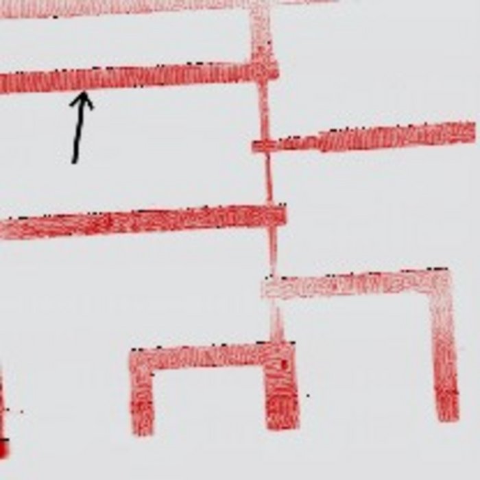 Mikroskopaufnahme von rechteckigen, länglichen Flächen, die alle von einer zentralen Linie in der Mitte abgehen.