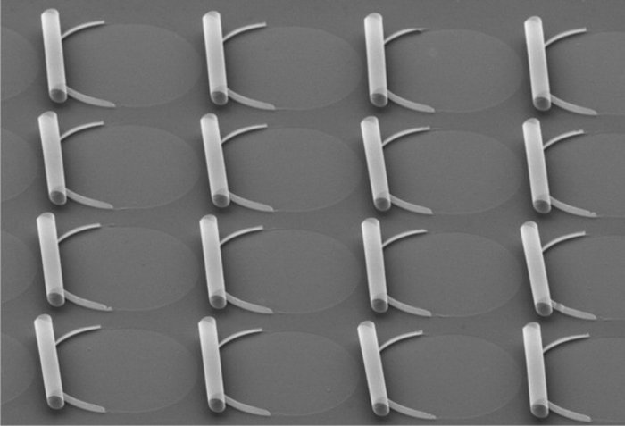 Eine Vielzahl kleiner Nanoröhrchen, die regelmäßig auf einer Unterlage angeordnet sind.