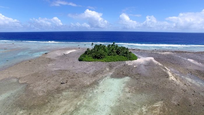 Die Luftaufnahme des Mili-Atolls zeigt eine trockengelegte Insel in Form eines Palmenwaldes, der in einer Steinwüste umringt vom Meer liegt.