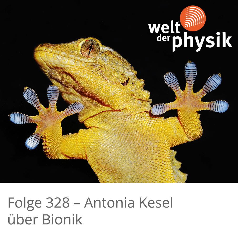 Welt der Physik | Podcast