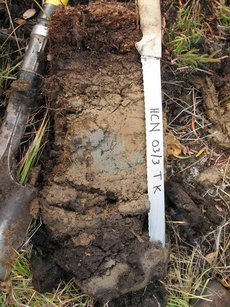 Aus bis zu einem Meter Tiefe wurden Bodenproben für die Altersbestimmung von abgestorbenen Pflanzen gezogen.
