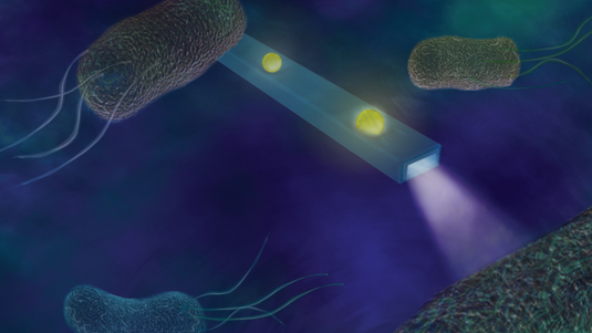 Blauer Hintergrund, in dem Bakterien schwimmen; darin quaderförmige Röhren mit hellen Lichtpunkten darin