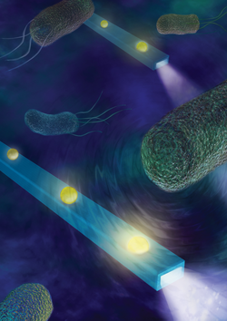 Künstlerische Darstellung: blauer Hintergrund, in dem Bakterien schwimmen; darin quaderförmige Röhren mit hellen Lichtpunkten darin