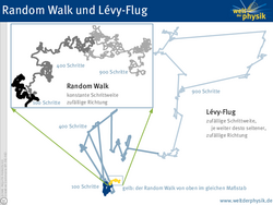 Zwei Teilchenbahnen. Die eine des Random Walk zeigt ein gleichmäßiges, aber zufälliges Muster, das eine langsame Bewegung vom Ursprungsort weg erkennen lässt. Der Weg der Lévy-Fluges zeigt ähnliche Muster, die aber an einigen Stellen durch große Sprünge unterbrochen sind, sodass eine viel größere Strecke zurück gelegt wird.