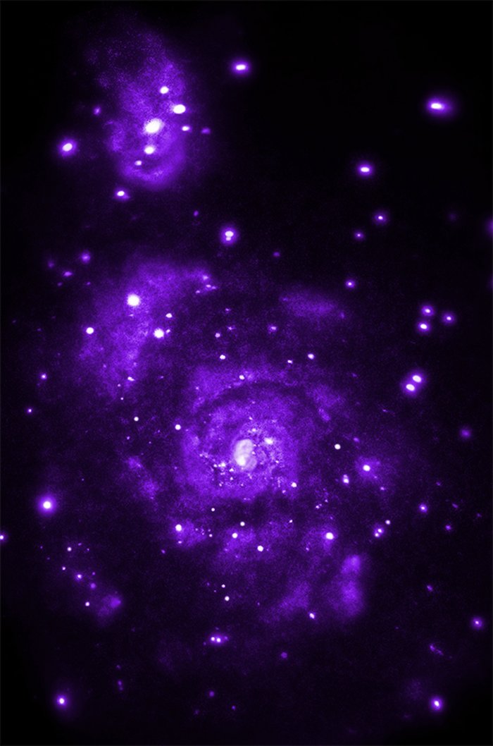 Röntgenaufnahme der Galaxie M 51 Violett leuchtende Punkte auf einer dunkelvioletten, spiralförmigen Struktur vor schwarzem Hintergrund.