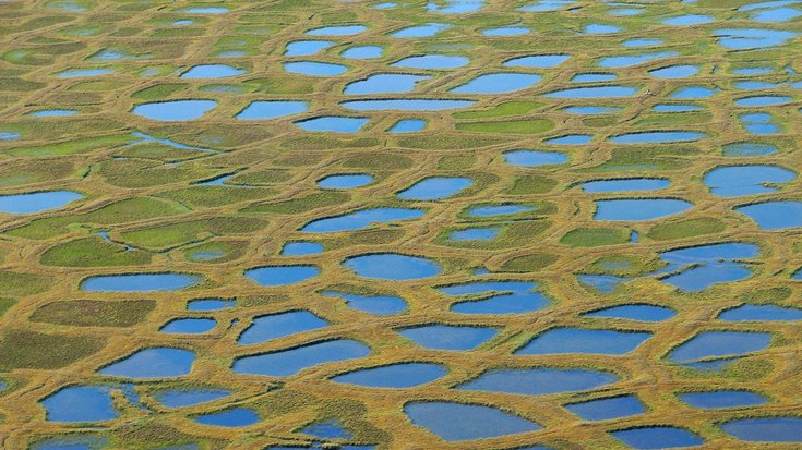 Wenn der Permafrost taut Polygonale Seen