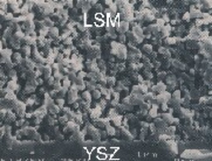 Zusammengepresste LSM-Partikel Schwarzweiß-Bild: LSM-Partikel als grobe Krümel aneinandergelagert, am unteren Bildrand dunkle Kante, als YSZ gekennzeichnet