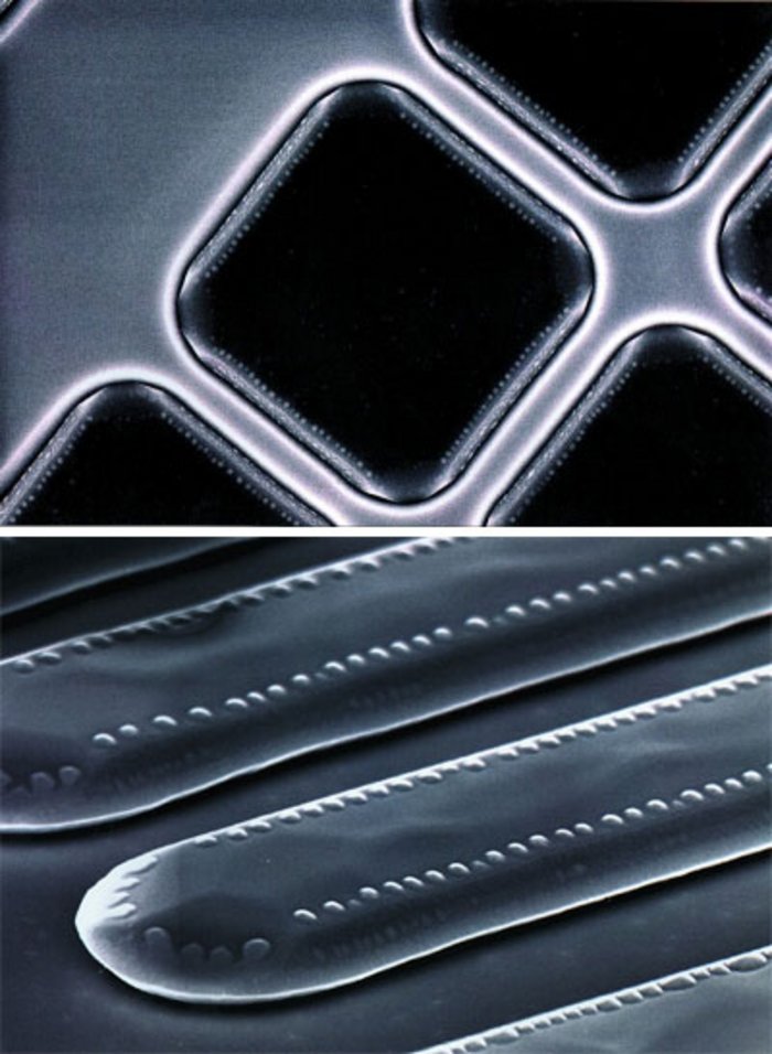 Mikroskopaufnahme von Siliziumflächen mit Germanium-Inseln Schwarz-weiße Mikroskopaufnahme: Längliche Zungen auf der Oberfläche mit weißen Punkten auf den Rändern