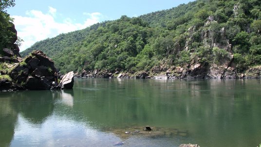 Grüne Flusslandschaft