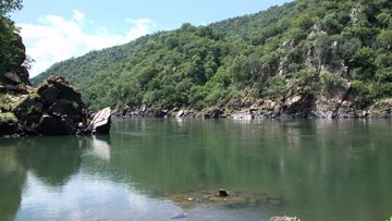 Grüne Flusslandschaft