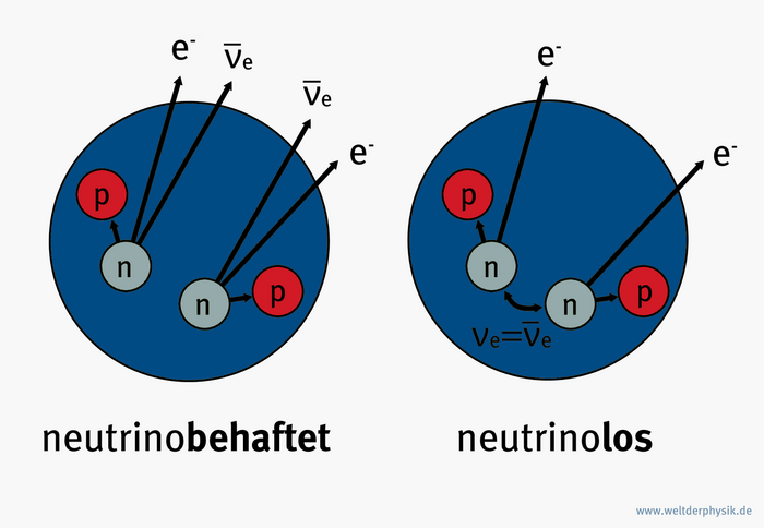 Der doppelte Betazerfall In der Abbildung ist links der neutrinobehaftete und rechts der neutrinolose Betazerfall grafisch dargestellt.