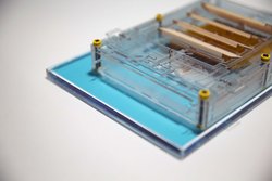 Kleines transparentes Kästchen vor blauem Hintergrund