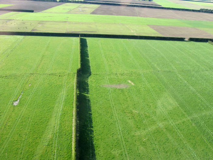 Greendale-Verwerfung in Neuseeland Foto, aus der Luft aufgenommen. Felder und eine Hecke. Durch die Felder und die Hecke zieht sich eine merkwürdige Linie. An dieser Linie scheint alles um ein paar Meter seitlich verschoben zu sein.