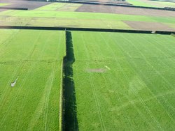 Foto, aus der Luft aufgenommen. Felder und eine Hecke. Durch die Felder und die Hecke zieht sich eine merkwürdige Linie. An dieser Linie scheint alles um ein paar Meter seitlich verschoben zu sein. 