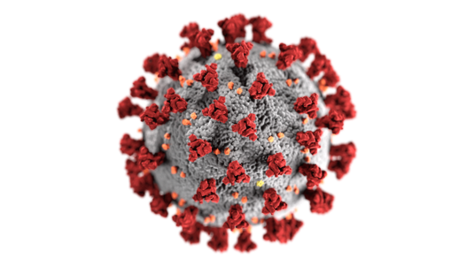 Modell des Virus, dargestellt als eine graue Kugel mit roten Stäbchen darin