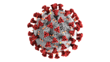 Modell des Virus, dargestellt als eine graue Kugel mit roten Stäbchen darin