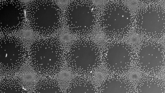 Die Abbildung zeigt Hunderte winziger Kugeln, die sich in einem symmetrischen Muster anordnen.