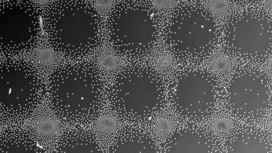 Die Abbildung zeigt Hunderte winziger Kugeln, die sich in einem symmetrischen Muster anordnen.