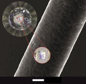 Stark vergrößertes Schwarz-Weiß-Bild einer Faser. Ein Bildausschnitt, auf dem kristalline Strukturen zu sehen sind, ist hervorgehoben.