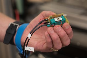 Eine Hand hält einen Chip, an den Kabel angebracht sind. 
