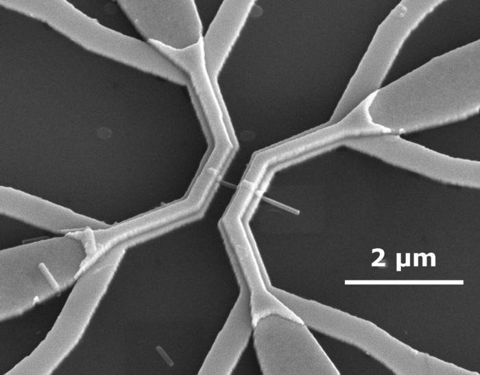 Mikroskopaufnahme des Nanokraftwerks Vergrößerte Schwarz-Weiß-Aufnahme, auf der zwei Geflechte zu sehen sind, die mit einem Stäbchen verbunden sind.