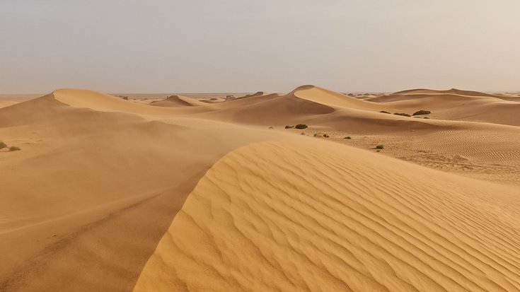 Weite Wüstenlandschaft mit sanft geschwungenen, goldgelben Sanddünen. Im Vordergrund zeigt der Sand feine, wellenartige Muster; lange Schatten betonen die Formen. Der Himmel ist hell und nahezu wolkenlos.