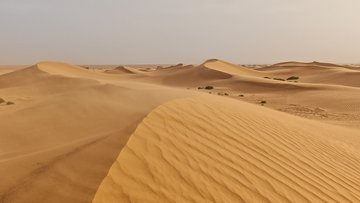 Weite Wüstenlandschaft mit sanft geschwungenen, goldgelben Sanddünen. Im Vordergrund zeigt der Sand feine, wellenartige Muster; lange Schatten betonen die Formen. Der Himmel ist hell und nahezu wolkenlos.