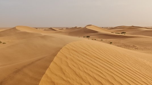Weite Wüstenlandschaft mit sanft geschwungenen, goldgelben Sanddünen. Im Vordergrund zeigt der Sand feine, wellenartige Muster; lange Schatten betonen die Formen. Der Himmel ist hell und nahezu wolkenlos.
