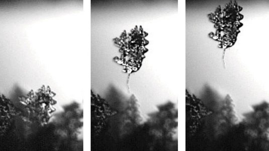 Drei schwarz-weiße Mikroskopaufnahme, die zeigen, wie sich ein Kristall immer weiter von einer Oberfläche entfernt