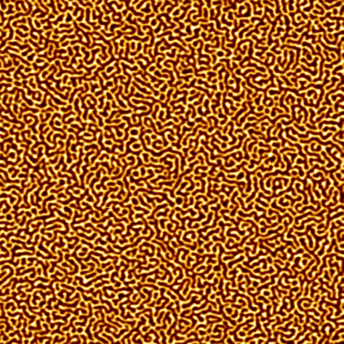 Magnetische Domänen bilden labyrinthartige Strukturen aus.