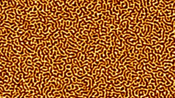 Labyrinthartige Strukturen von magnetischen Domänen