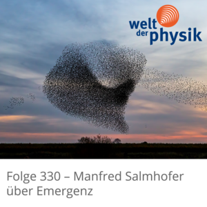 Folge 330 – Emergenz