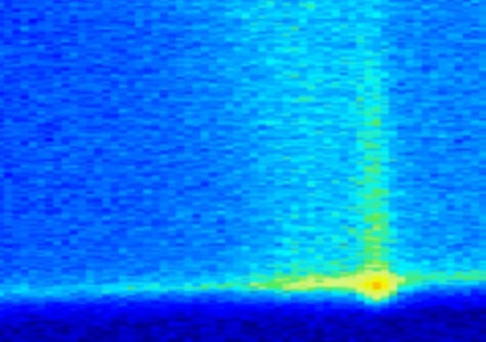 Molekulare Elektronik Molekulare Elektronik
