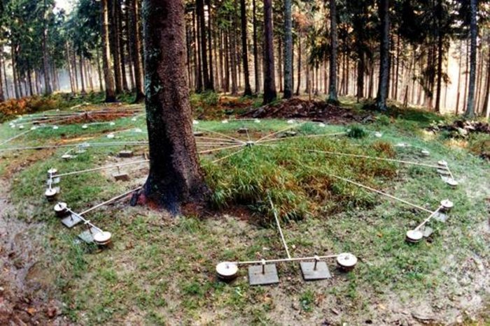 Foto. Auf dem Waldboden sind sternförmig dünne Rohre angeordnet, die an kleinen kastenförmigen Behältern münden.