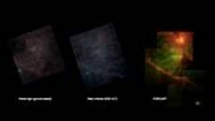 Sternentstehungsgebiete im Orion, Vergleich dreier Aufnahmen Sternentstehungsgebiete im Orion, Vergleich dreier Aufnahmen