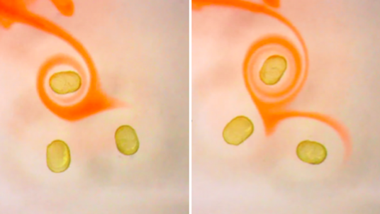 Mehrere Einzelbilder mit orangefarbenen Tropfen, darum eine farbige Spirale, die die durch Magnetismus hervorgerufene Bewegung andeutet