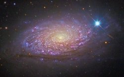 Spiralgalaxie M63