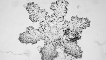 Das Bild zeigt eine Mikroskopaufnahme einer Schneeflocke.