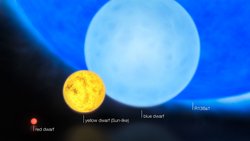 Künstlerische Darstellung von Sternen verschiedener Größe. Der Rote Zwerg ist mit Abstand am kleinsten, danch folgen um jeweils ein Vielfaches größer der gelbe Zwerg und der blaue Zwerg. Der Stern R136a1 ist im Vergleich dazu so groß, dass nur ein Ausschnitt seiner Unterseite auf dem Bild zu sehen ist.