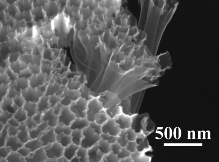 Mikroskopbild in schwarzweiß, es ist ein Material zu erkennen, das aus röhrenförmigen Strukturen besteht, die eng aneinander sitzen.