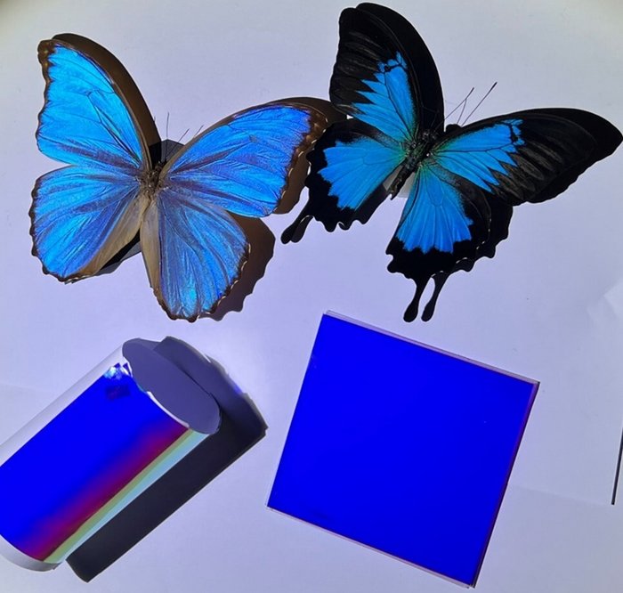 Vorbild und Prototyp Zwei blaue Schmetterlinge über einem blauen Quadrat und einer blauen Rolle mit dem neuen Material
