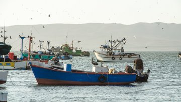 Fischerboote liegen dicht an dicht in einer Bucht vor Anker.