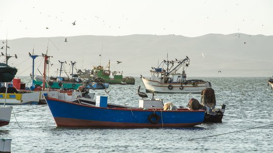Fischerboote liegen dicht an dicht in einer Bucht vor Anker.