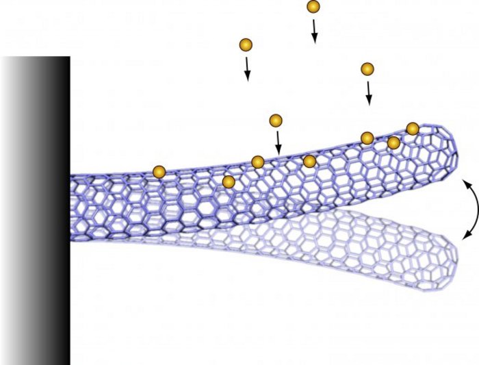 Atomwaage aus schwingenden Nanoröhrchen Atomwaage aus schwingenden Nanoröhrchen
