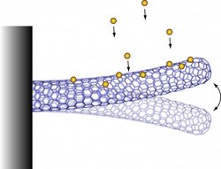 Atomwaage aus schwingenden Nanoröhrchen