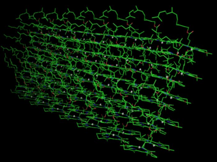 Molekülstruktur für Photosynthese Grüne, netzartiges Molekülstruktur