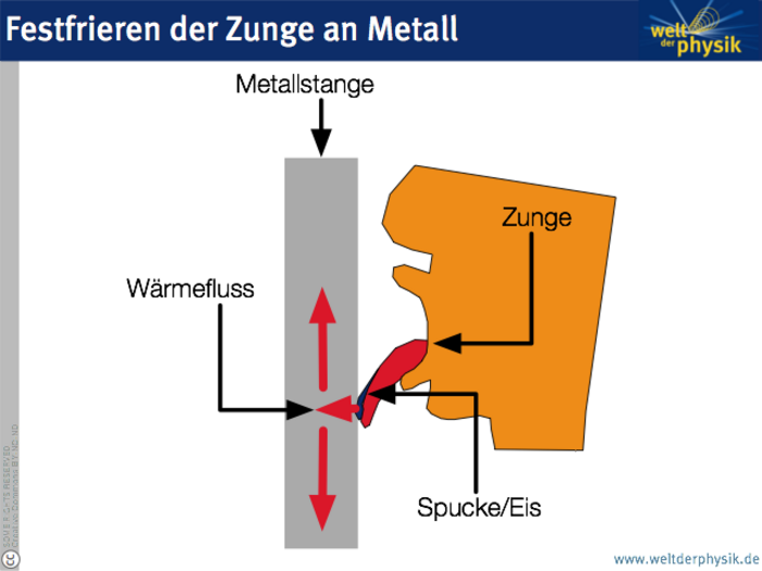 Hält man seine Zunge an eine gefrorene Metallstange, so wird die Wärme schnell von der Kontaktstelle weggeführt. Denn Metall leitet Wärme sehr gut. Die Kontaktstelle kühlt sich ab und die Spucke auf der Zunge gefriert. Da die Zunge viele kleine Poren hat, reicht der Eiskristall in die Oberfläche hinein und die Zunge friert fest.